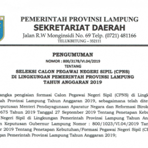 Formasi CPNS 2019 Provinsi Lampung