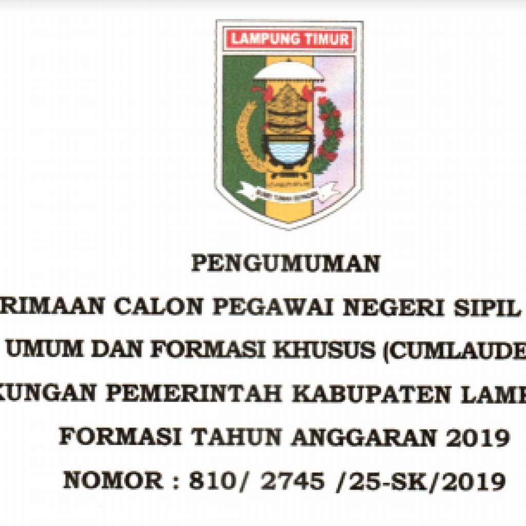Formasi CPNS 2019 Lampung Timur dan Kota Metro